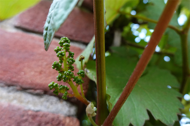 DSC01666_R