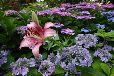 DSC08305_R