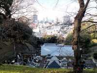DSCF6152_R