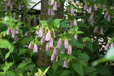 DSC08147_R