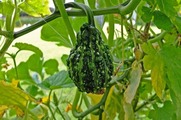 DSCF4671_R
