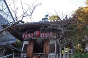 DSCF7850_R
