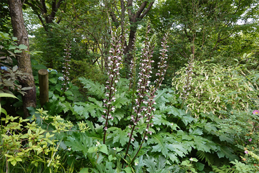 DSC08177_R