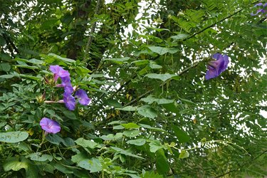 DSC08110_R
