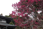 DSCF1538_R