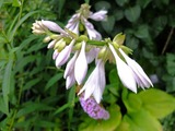 DSCF2857_R