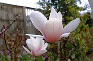 DSCF1812_R