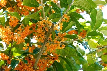 DSC02669_R