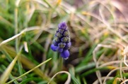 DSCF0992_R