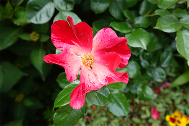 DSC07579_R