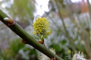 DSCF1764_R