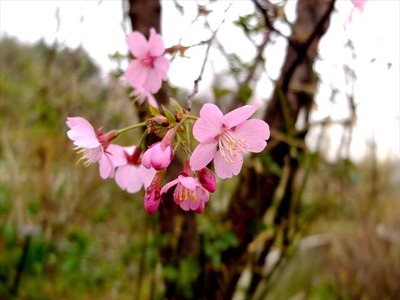 DSCF1466_R