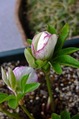 DSCF1014_R