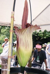 eb2b199e.jpg