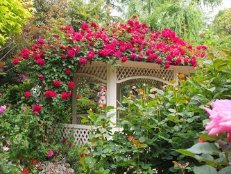 DSCF0138_R