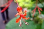 DSCF4261_R