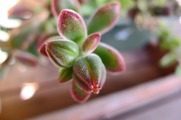 DSCF0485_R