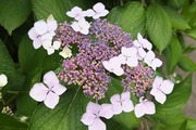 DSCF3041_R