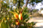 DSCF0515_R