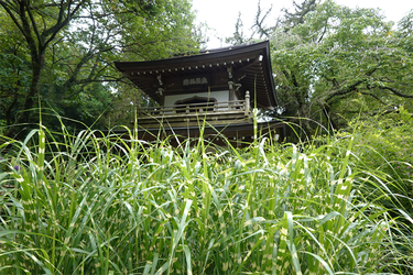 DSC08660_R