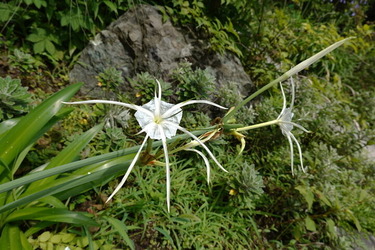 DSC07410_R (1)