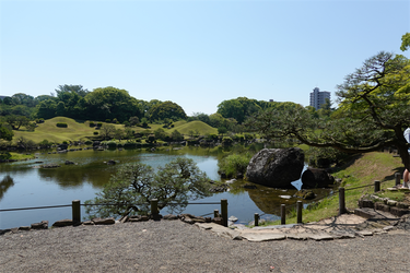 DSC07852_R