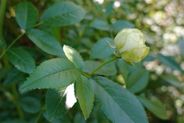 DSC07719_R