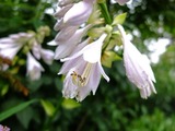 DSCF2856_R