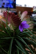 DSCF5583_R