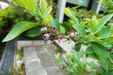 DSC08244_R