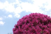 DSCF0803_R