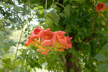 DSC09149_R