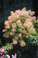 ec500736.jpg