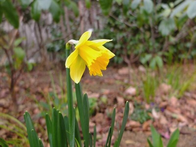 DSCF0873_R