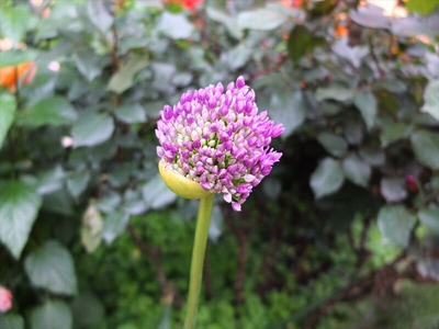 DSCF3223_R