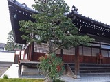 DSCF4673_R