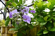DSCF2680_R