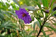 DSCF4383_R