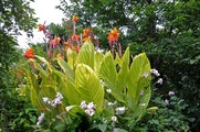 DSCF4891_R