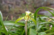 DSCF1578_R