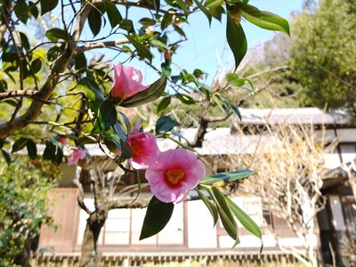 DSCF1033_R