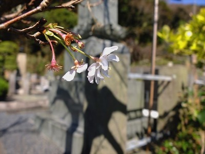 DSCF5222_R
