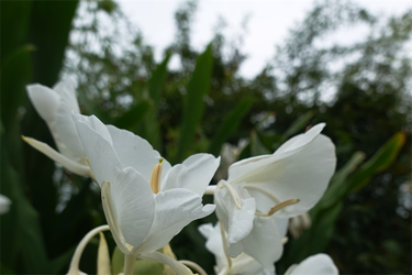DSC09310_R