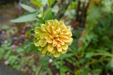 DSC08833_R
