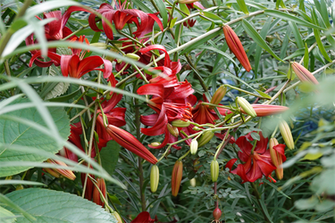 DSC08478_R
