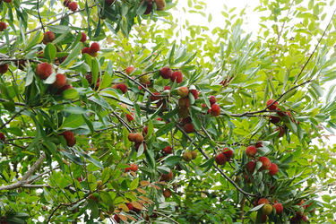 DSC08330_R