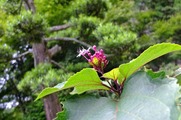 DSCF4608_R