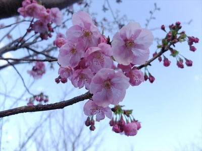 DSCF4750_R