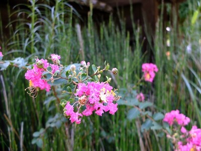 DSCF5615_R