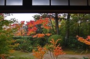 DSCF7399_R